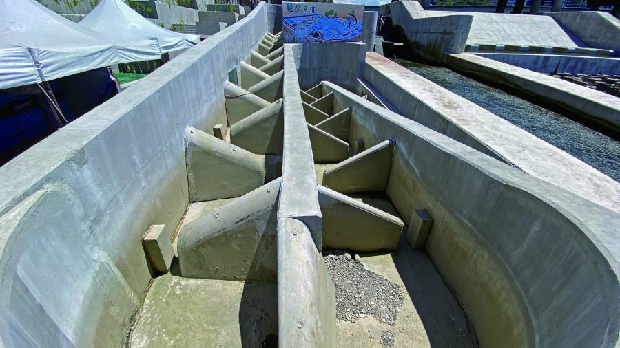 採用豎槽斜隔壁形式的碧潭堰魚道，是曾晴賢近年的自信之作